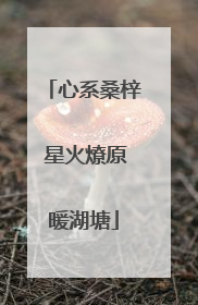 心系桑梓 星火燎原暖湖塘