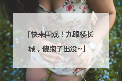 快来围观！九眼楼长城，傻狍子出没~