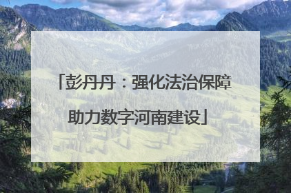 彭丹丹：强化法治保障 助力数字河南建设