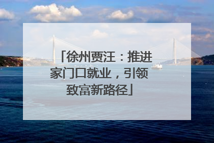 徐州贾汪：推进家门口就业，引领致富新路径