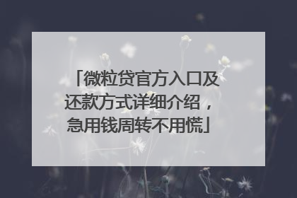 微粒贷官方入口及还款方式详细介绍，急用钱周转不用慌
