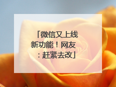 微信又上线新功能！网友：赶紧去改