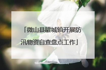 微山县驩城镇开展防汛物资自查盘点工作