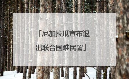 尼加拉瓜宣布退出联合国难民署
