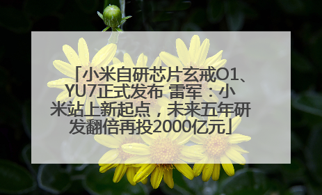 小米自研芯片玄戒O1、YU7正式发布 雷军：小米站上新起点，未来五年研发翻倍再投2000亿元