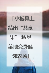 小板凳上结出“共享果” 私垦菜地变身睦邻农场