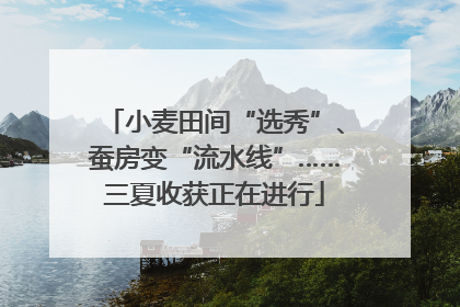 小麦田间“选秀”、蚕房变“流水线”……三夏收获正在进行