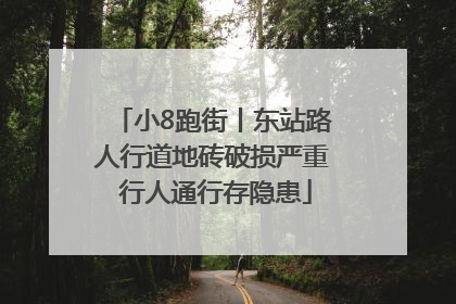 小8跑街丨东站路人行道地砖破损严重 行人通行存隐患