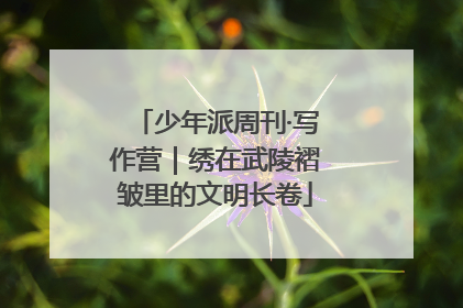 少年派周刊·写作营｜绣在武陵褶皱里的文明长卷