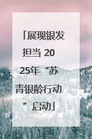 展现银发担当 2025年“苏青银龄行动”启动