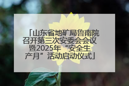 山东省地矿局鲁南院召开第三次安委会会议暨2025年“安全生产月”活动启动仪式