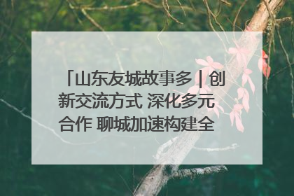 山东友城故事多｜创新交流方式 深化多元合作 聊城加速构建全球友城新格局