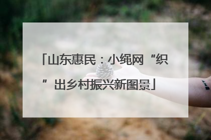 山东惠民：小绳网“织”出乡村振兴新图景