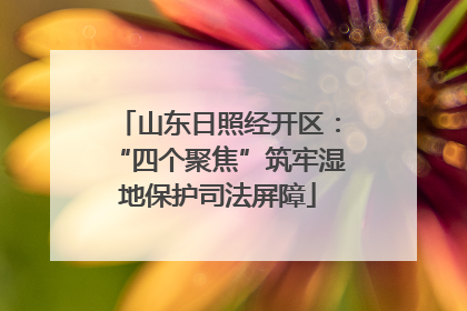 山东日照经开区：“四个聚焦”筑牢湿地保护司法屏障