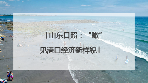 山东日照：“瞰”见港口经济新样貌