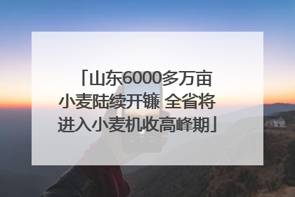山东6000多万亩小麦陆续开镰 全省将进入小麦机收高峰期