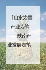 山水为墨 产业为笔——陕南产业发展走笔