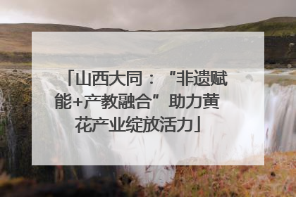 山西大同：“非遗赋能+产教融合”助力黄花产业绽放活力