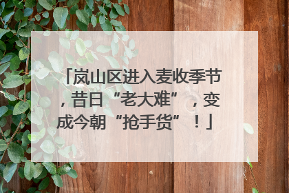 岚山区进入麦收季节，昔日“老大难”，变成今朝“抢手货”！