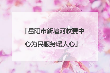 岳阳市新墙河收费中心为民服务暖人心