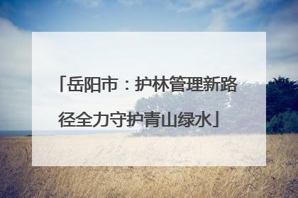 岳阳市：护林管理新路径全力守护青山绿水