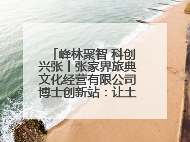 峰林聚智 科创兴张丨张家界旅典文化经营有限公司博士创新站：让土家织锦“智”造出非遗新传奇