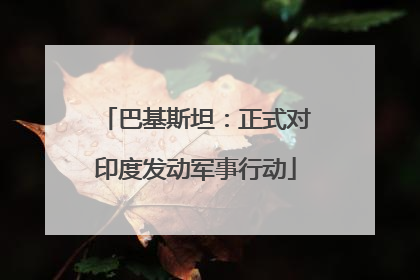 巴基斯坦：正式对印度发动军事行动