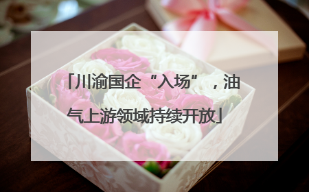 川渝国企“入场”，油气上游领域持续开放