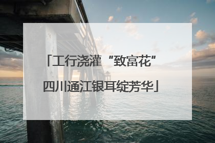 工行浇灌“致富花” 四川通江银耳绽芳华