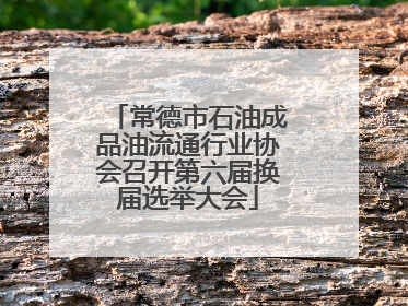 常德市石油成品油流通行业协会召开第六届换届选举大会