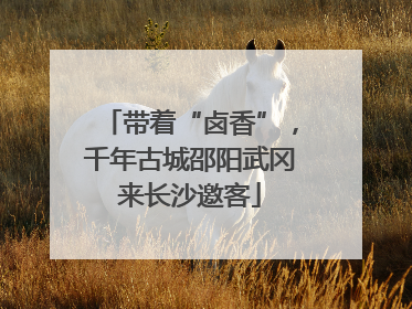 带着“卤香”，千年古城邵阳武冈来长沙邀客