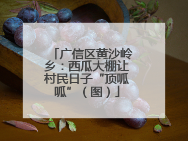 广信区黄沙岭乡：西瓜大棚让村民日子“顶呱呱”（图）