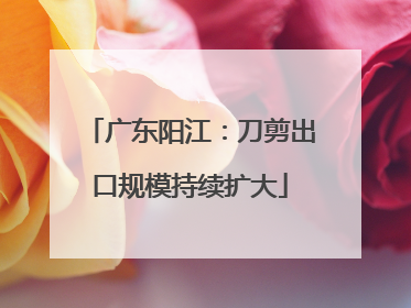 广东阳江：刀剪出口规模持续扩大