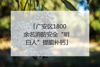 广安区1800余名消防安全“明白人”提能补钙