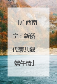 广西南宁：新侨代表共叙端午情