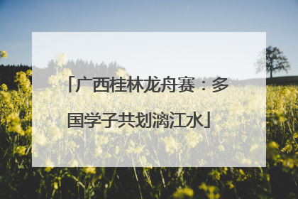 广西桂林龙舟赛：多国学子共划漓江水