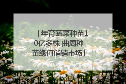 年育蔬菜种苗10亿多株 曲周种苗缘何俏销市场