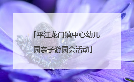 平江龙门镇中心幼儿园亲子游园会活动