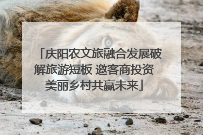 庆阳农文旅融合发展破解旅游短板 邀客商投资美丽乡村共赢未来
