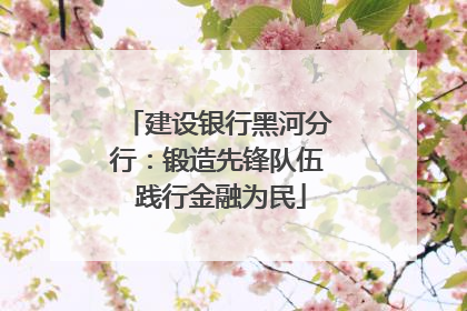 建设银行黑河分行：锻造先锋队伍 践行金融为民