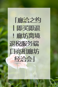 廊洽之约丨即买即退！廊坊离境退税服务端口亮相廊坊经洽会