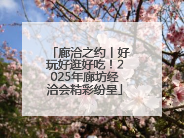 廊洽之约丨好玩好逛好吃！2025年廊坊经洽会精彩纷呈