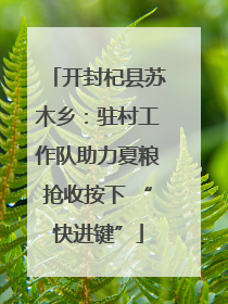 开封杞县苏木乡：驻村工作队助力夏粮抢收按下 “快进键”