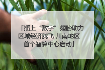 插上“数字”翅膀助力区域经济腾飞 川南地区首个智算中心启动