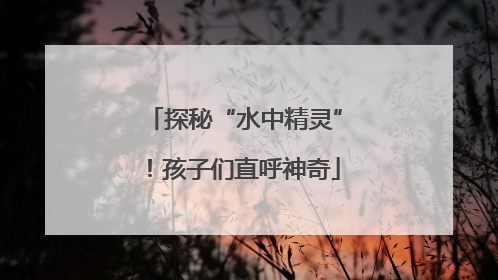 探秘“水中精灵”！孩子们直呼神奇