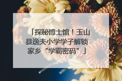 探秘博士馆！玉山县逸夫小学学子解锁家乡“学霸密码”