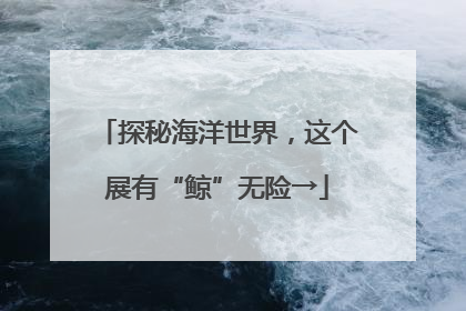 探秘海洋世界，这个展有“鲸”无险→