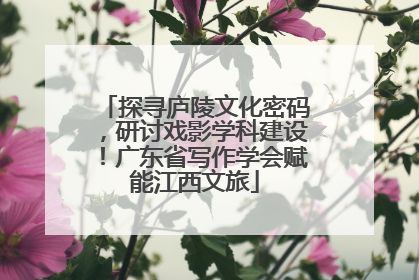 探寻庐陵文化密码，研讨戏影学科建设！广东省写作学会赋能江西文旅