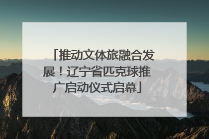 推动文体旅融合发展！辽宁省匹克球推广启动仪式启幕