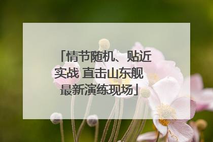情节随机、贴近实战 直击山东舰最新演练现场